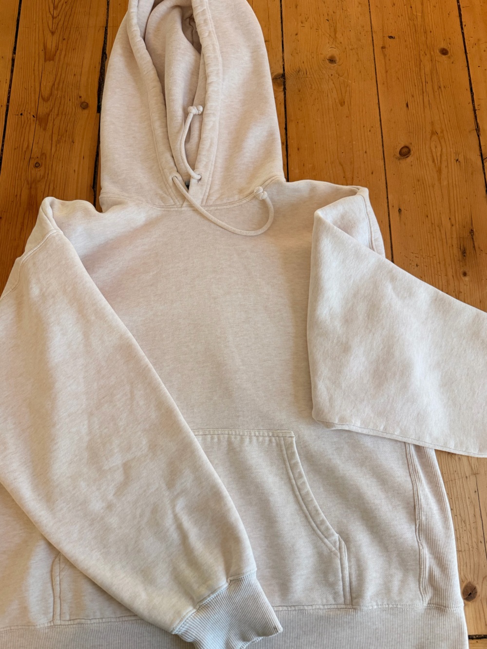 Aritzia Hoodie